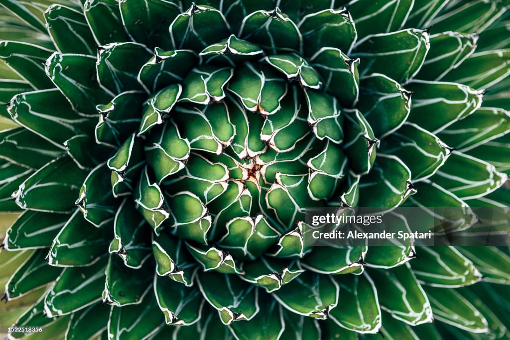 Abstract stock images
