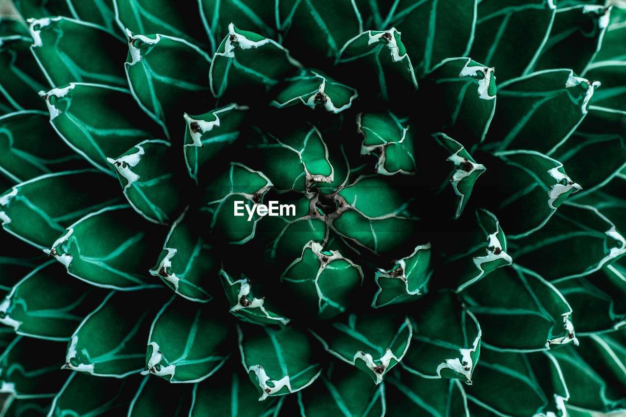 Abstract stock images