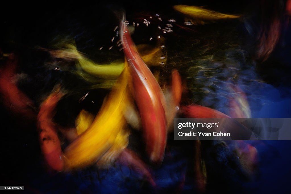 Abstract stock images