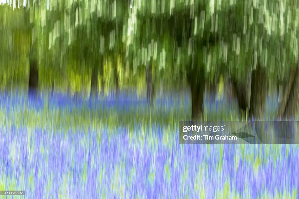 Abstract stock images
