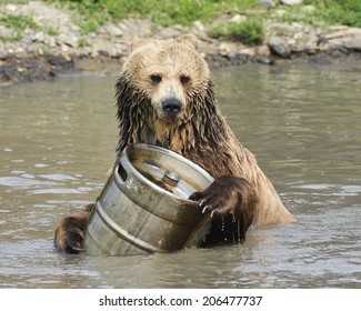 Sports Bar stock images