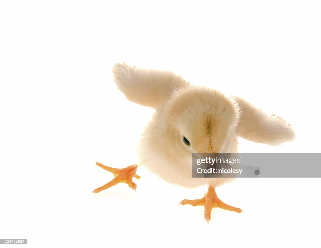 Party stock images