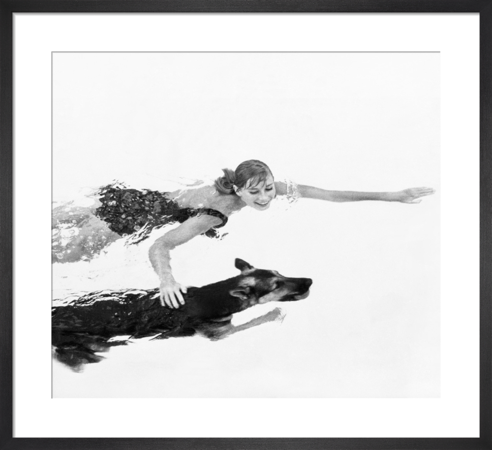 Brazilian Carnival Festival art prints