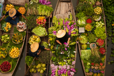 Conical Hat stock images