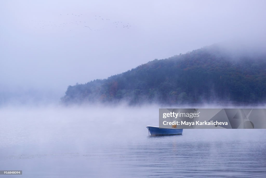 Fairy Tale Magic stock images