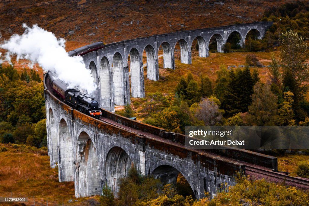 Fairy Tale Magic stock images