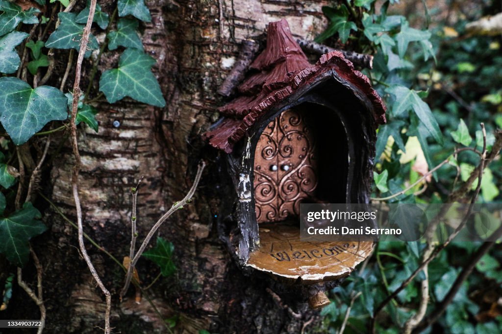 Fairy Tale Magic stock images