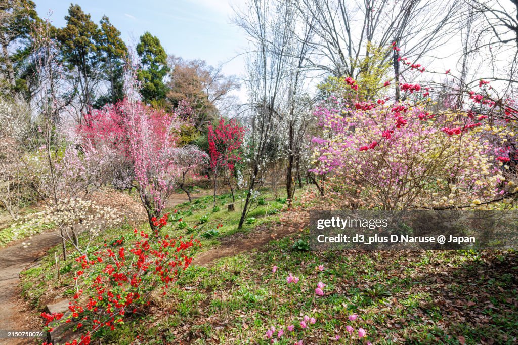 Fairy Tale Magic stock images