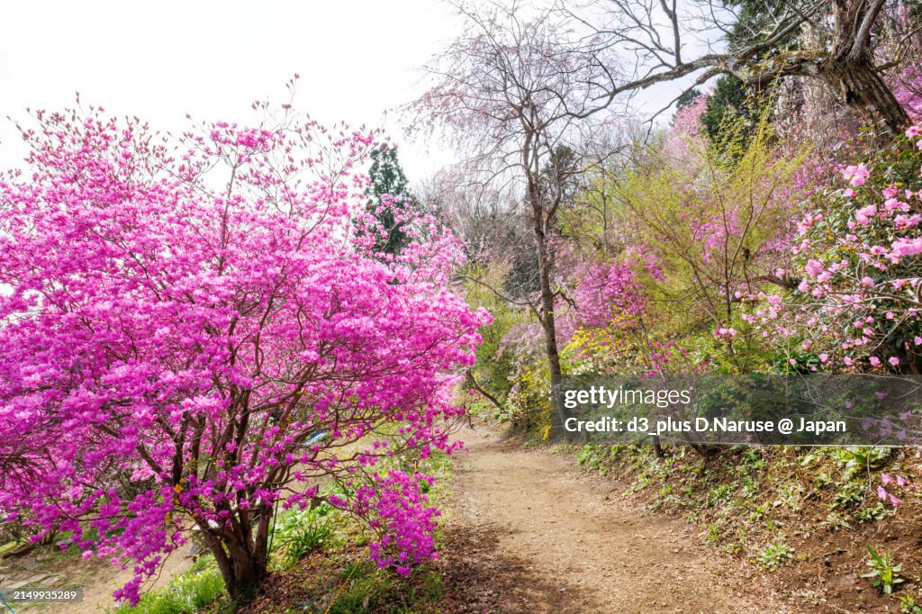 Fairy Tale Magic stock images
