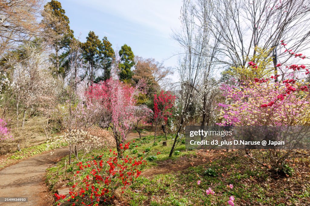 Fairy Tale Magic stock images