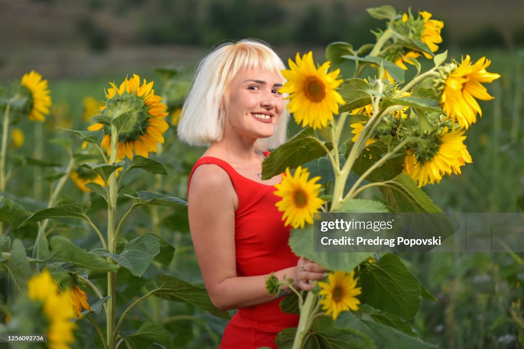 Fairy Tale Magic stock images