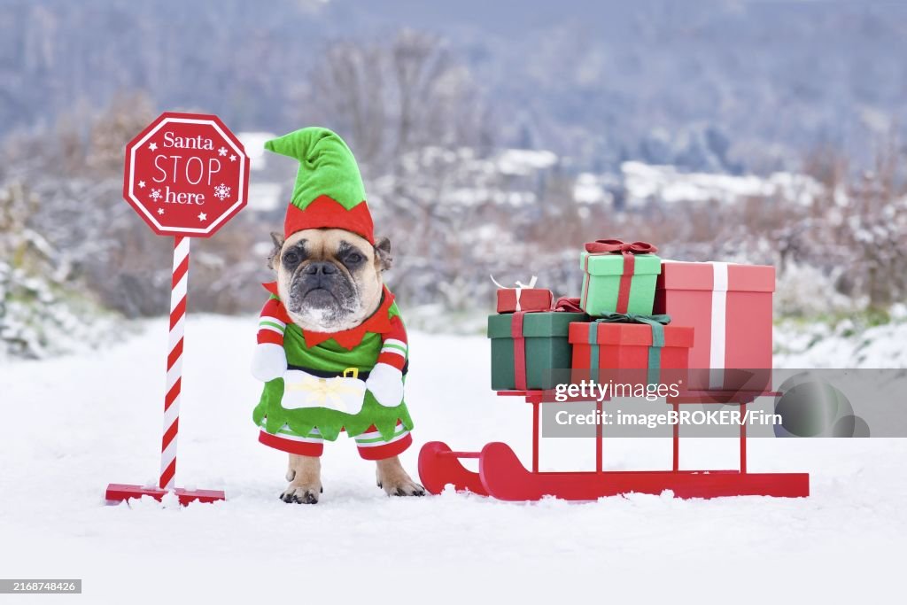 Fairy Tale Magic stock images