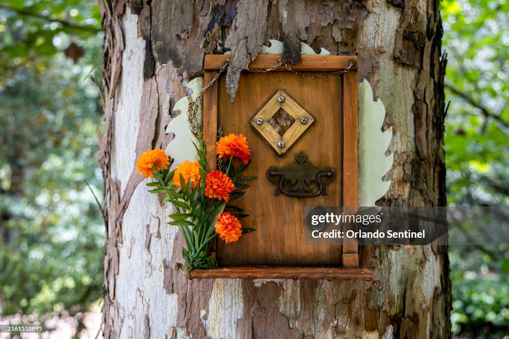 Fairy Tale Magic stock images