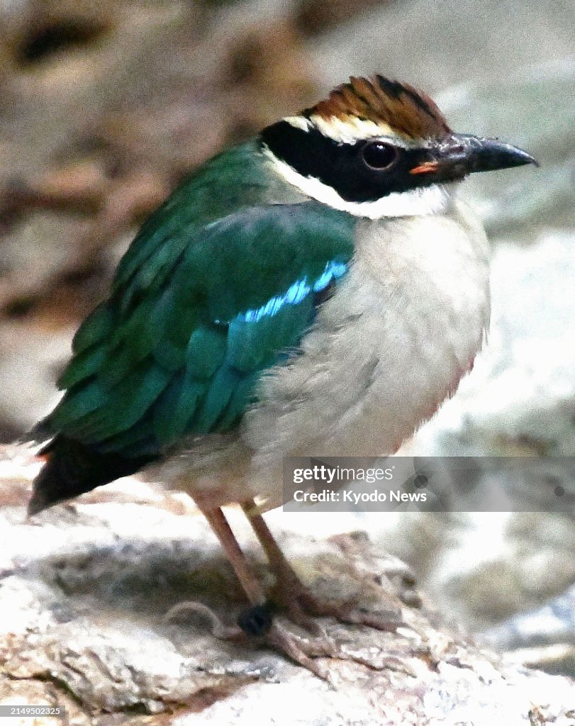 Fairy Tale Magic stock images