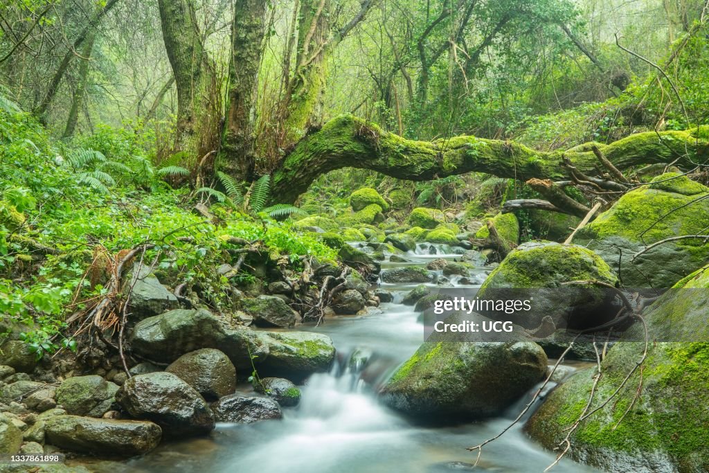 Fairy Tale Magic stock images