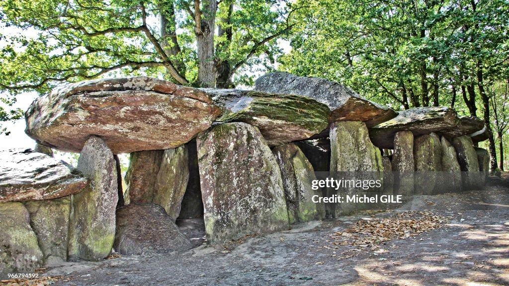 Fairy Tale Magic stock images