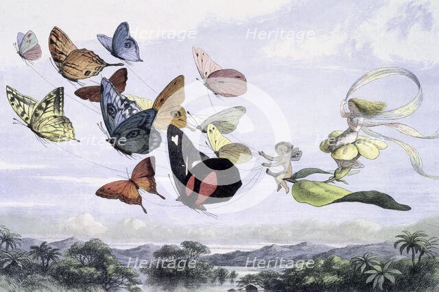 Fairy Tale Magic art prints