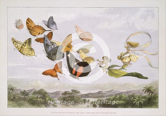 Fairy Tale Magic art prints