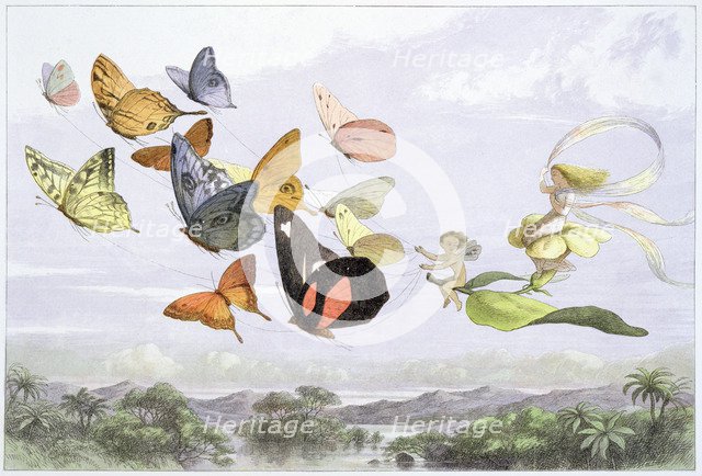 Fairy Tale Magic art prints