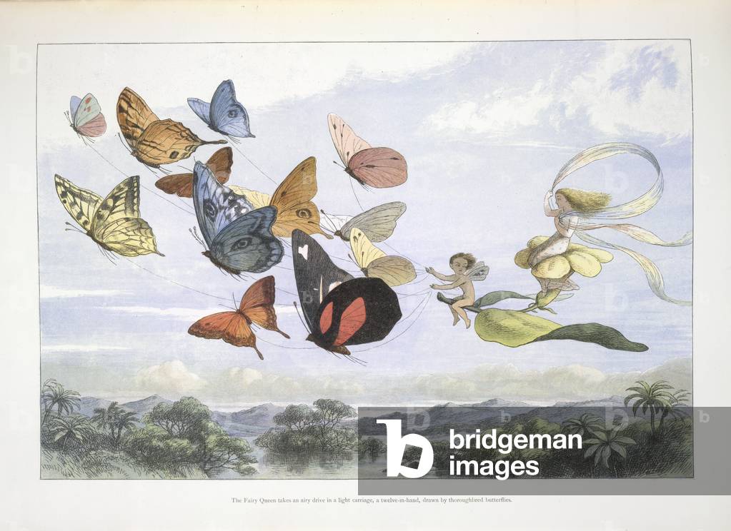 Fairy Tale Magic art prints