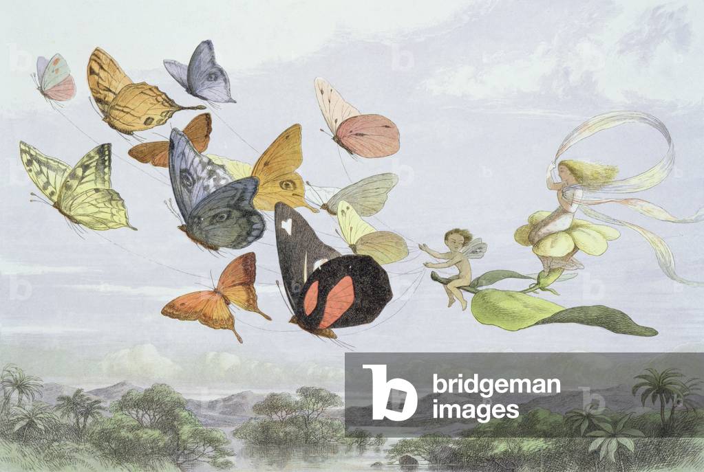 Fairy Tale Magic art prints