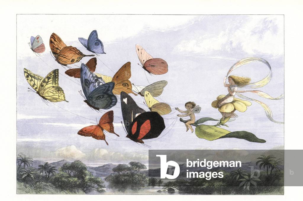 Fairy Tale Magic art prints