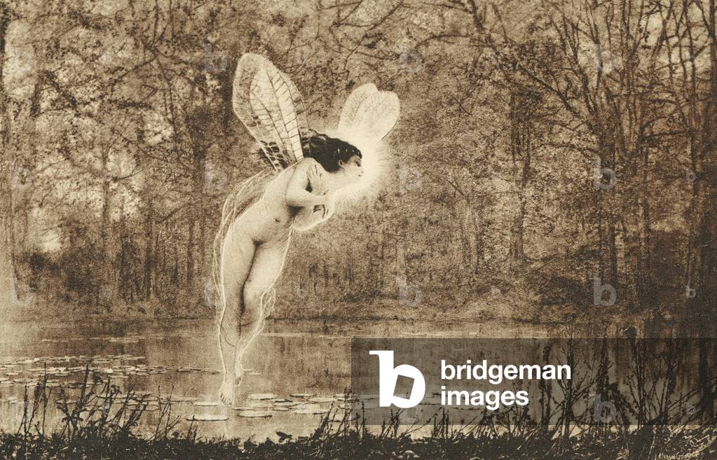 Fairy Tale Magic art prints