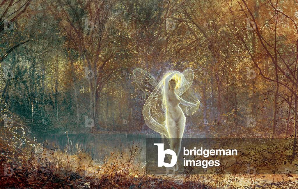 Fairy Tale Magic art prints