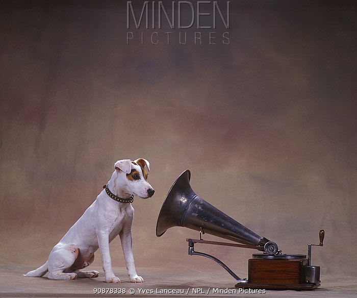 Vintage stock images