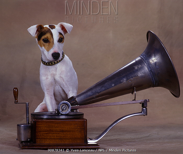 Vintage stock images