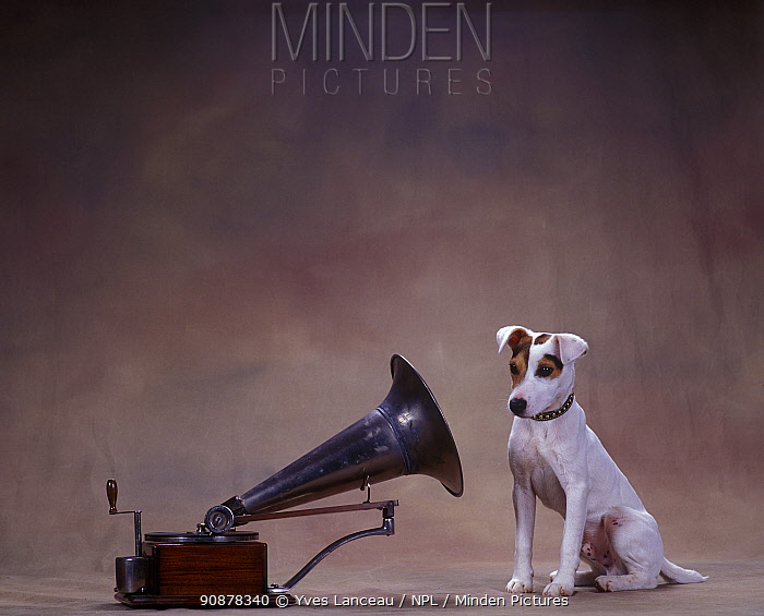 Vintage stock images