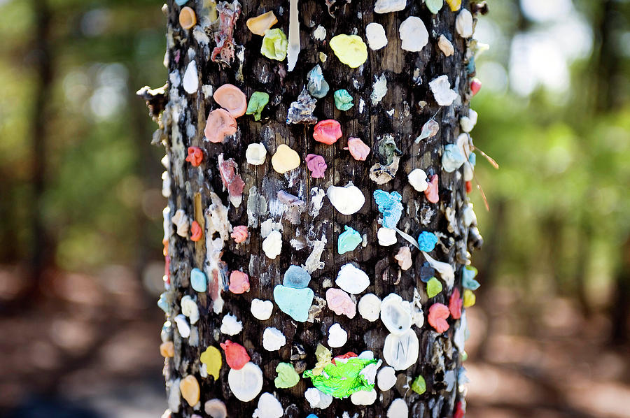 Bubblegum art prints