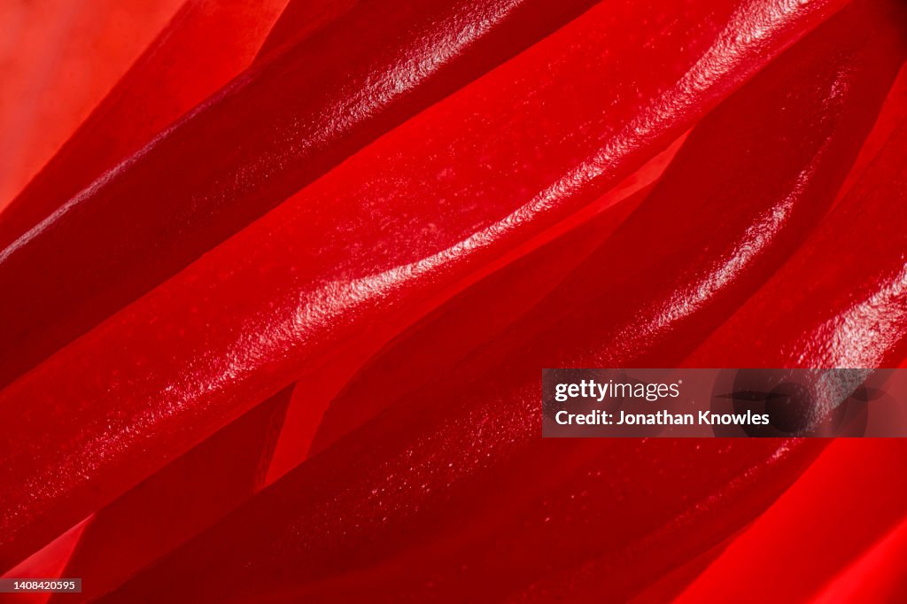 Lollipop stock images