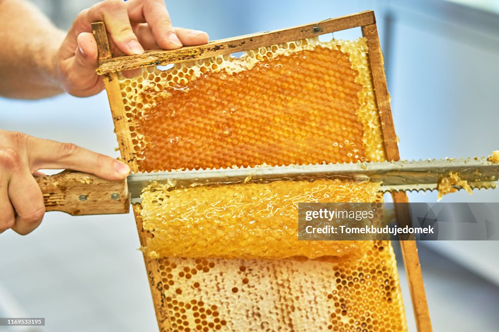 Lollipop stock images