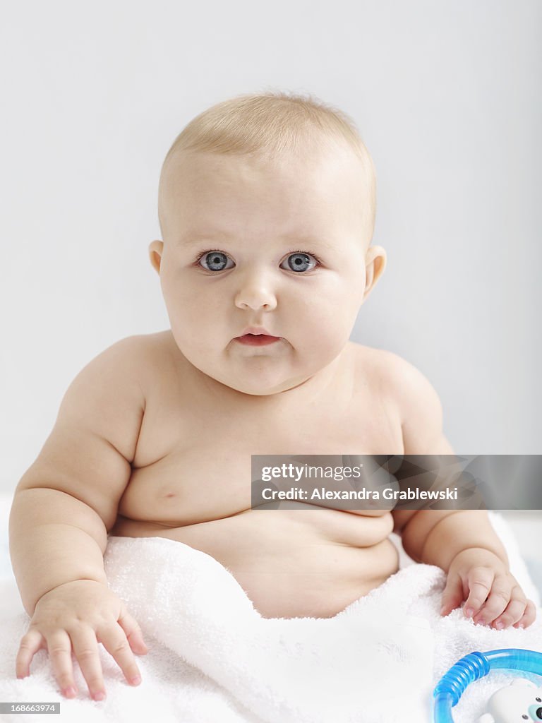 Fat stock images