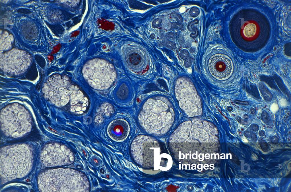 Healthcare art prints