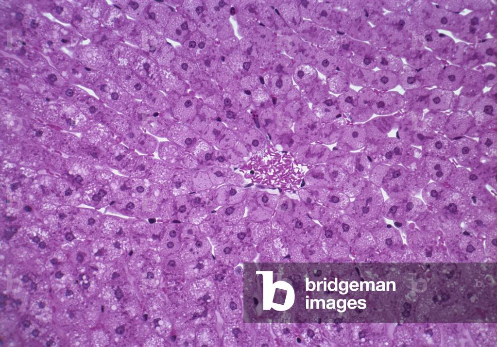 Healthcare art prints