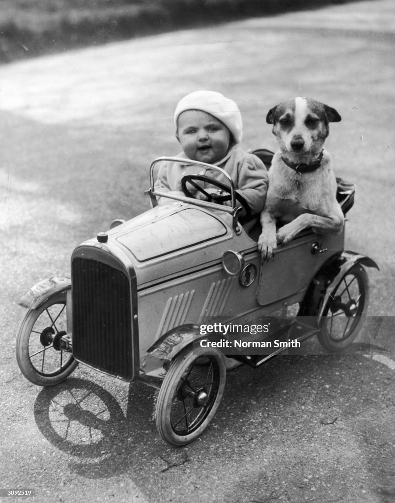 Toy Car stock images