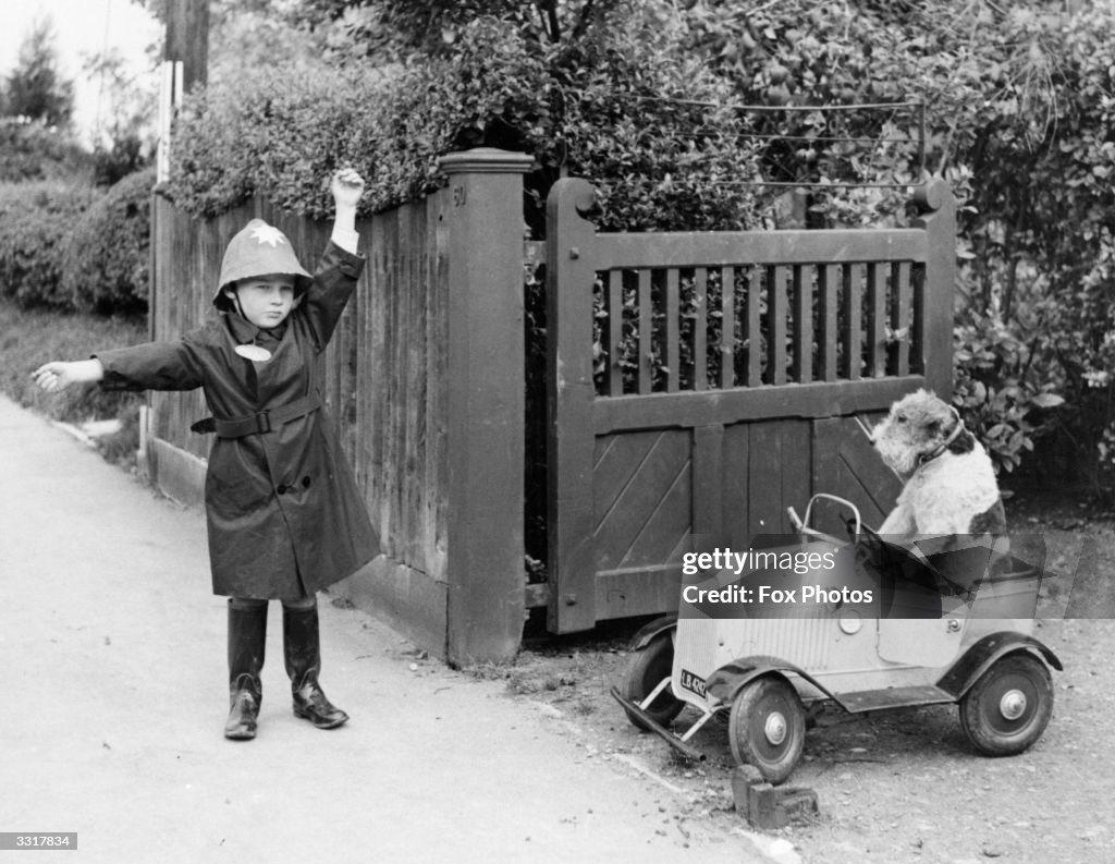 Toy Car stock images