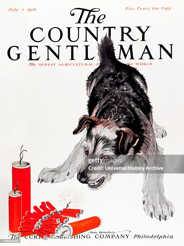 Fireworks stock images