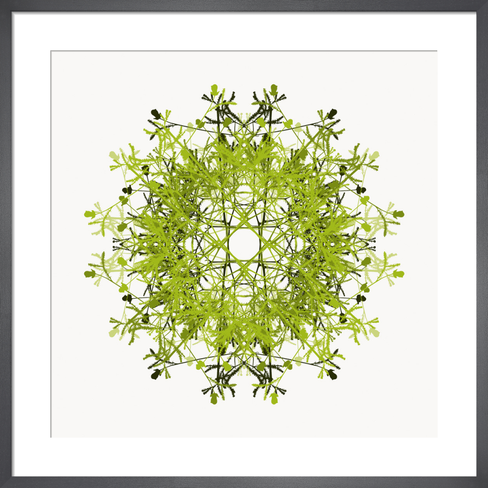 Fireworks art prints