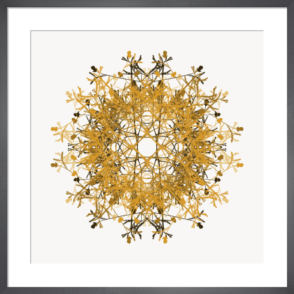 Fireworks art prints