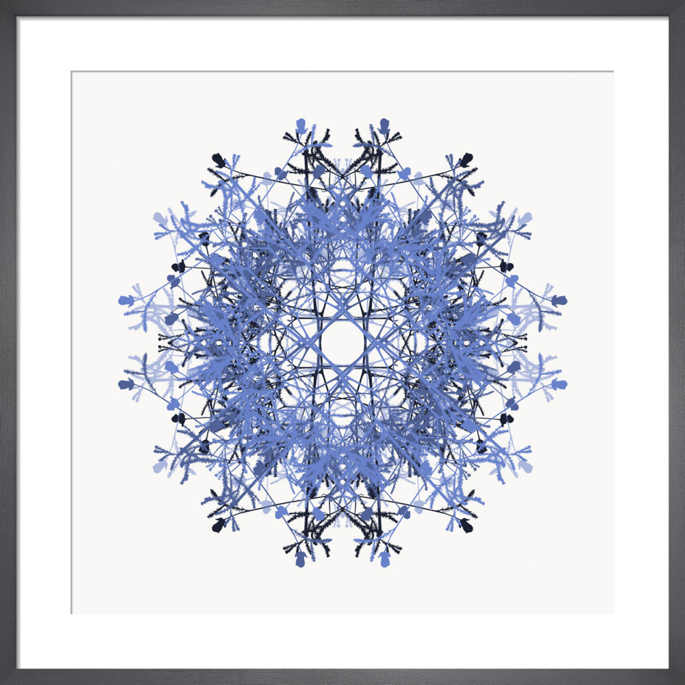 Fireworks art prints