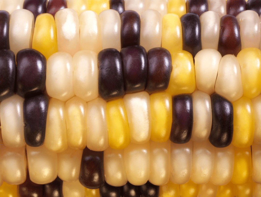 Best images of Brainstorm