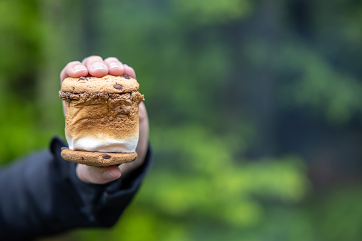 Cookie stock images