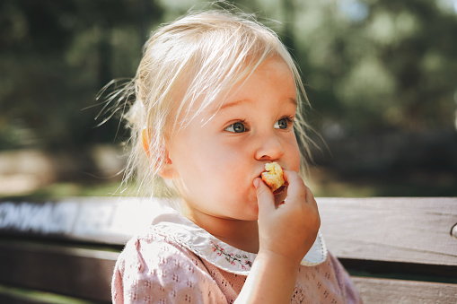 Cookie stock images